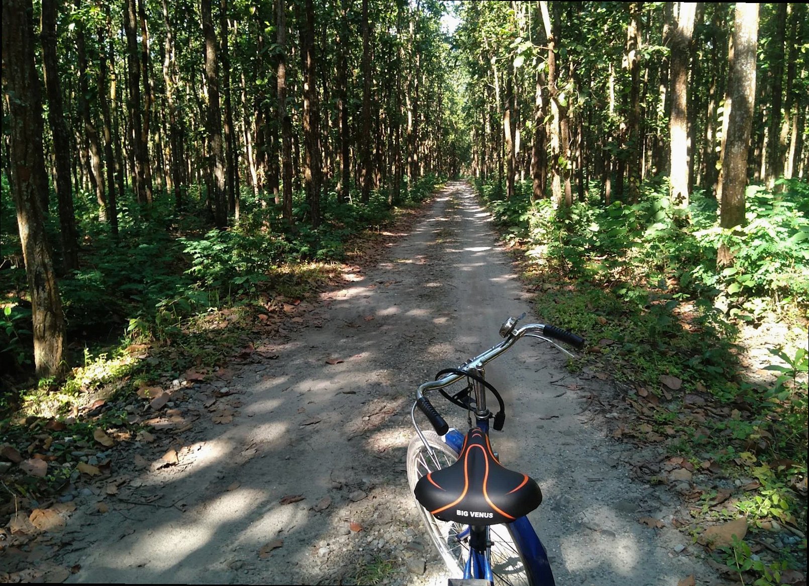 Kumano Kodo pilgrimage, 5 nights
